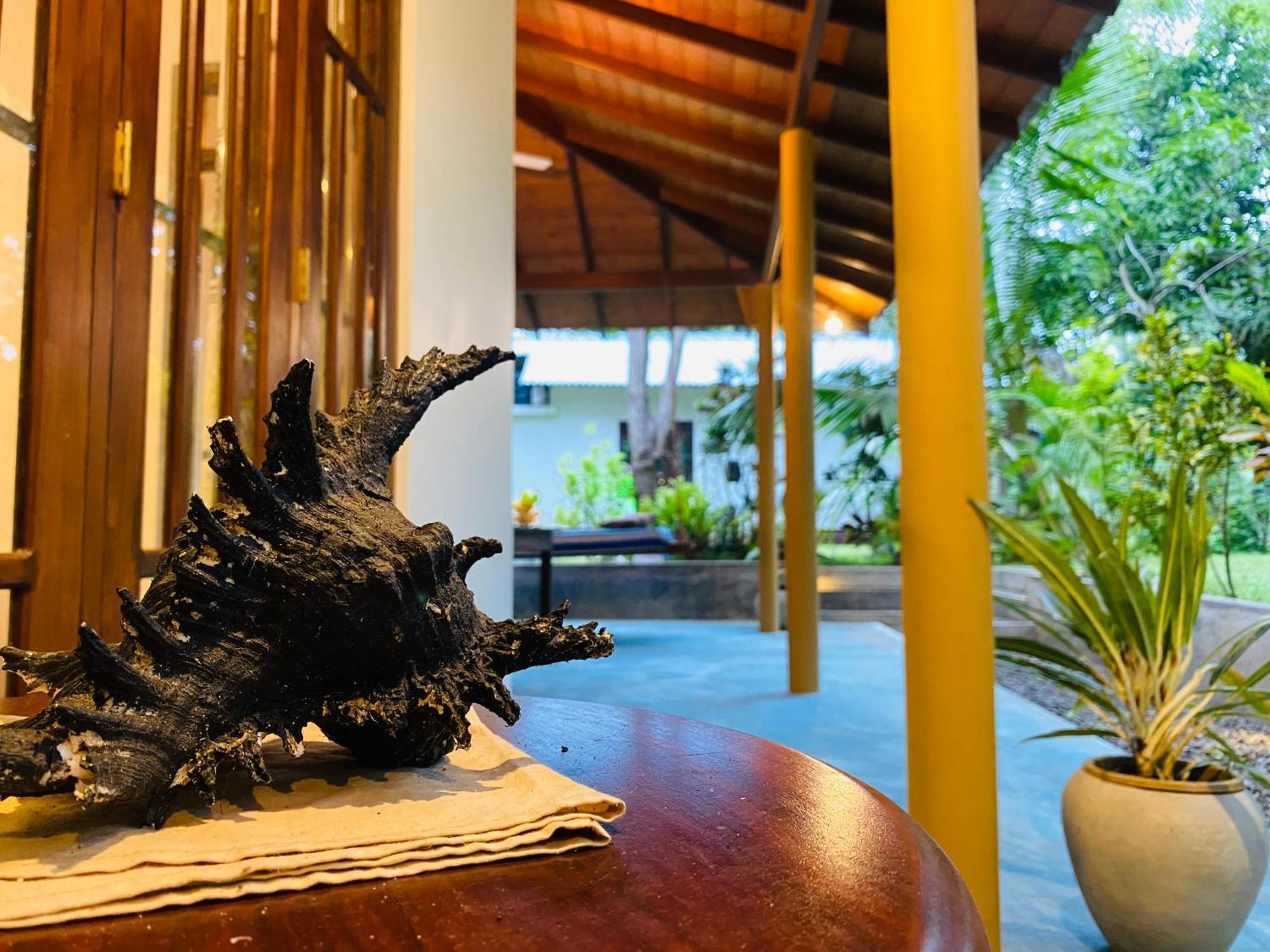 See Turtle Villa تانجالي المظهر الخارجي الصورة